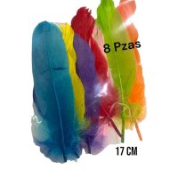 Plumas Decoracion 17cm x8